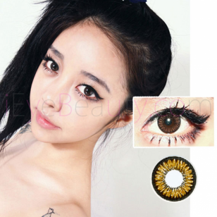 NEO Sunflower Brown(N224)